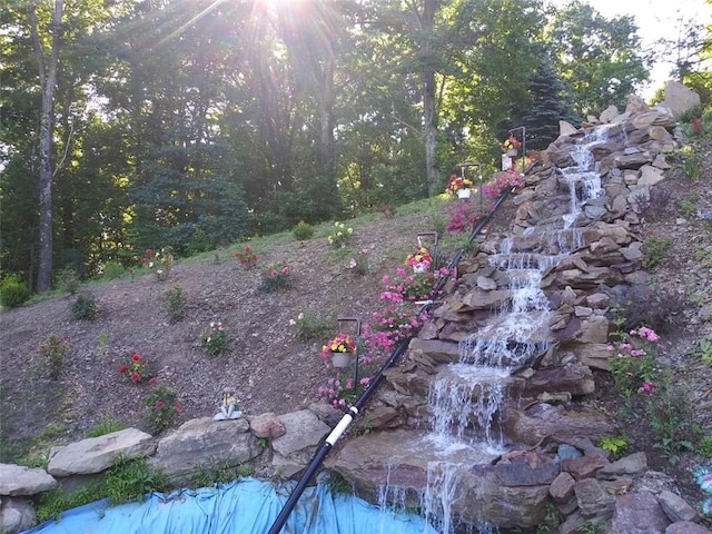 view of local wilderness