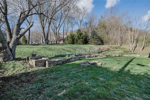 view of yard