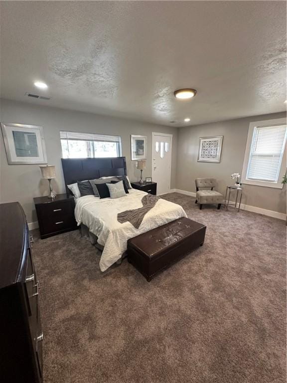 535 Grant Ave, Heidelberg, PA 15106 - carpeted bedroom with visible vents, multiple windows, and a textured ceiling
