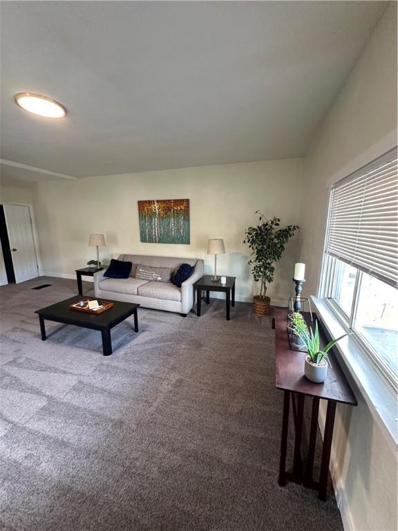 535 Grant Ave, Heidelberg, PA 15106 - carpeted living room with baseboards