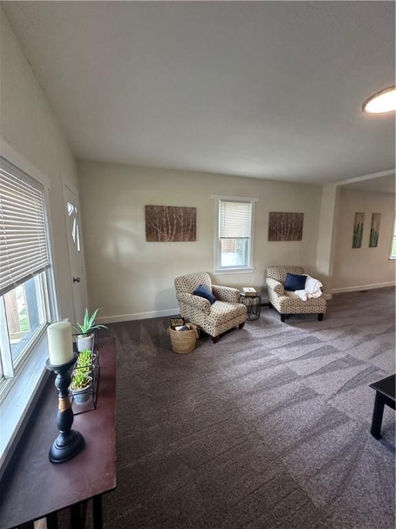 535 Grant Ave, Heidelberg, PA 15106 - carpeted living area with baseboards