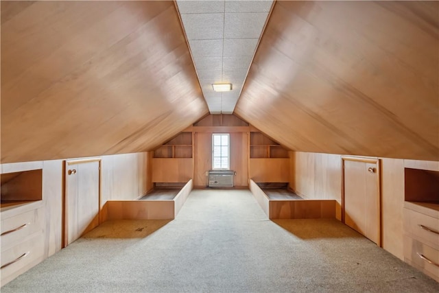 210 Morewood Rd, Shaler, PA 15116 - bonus room with carpet flooring and vaulted ceiling