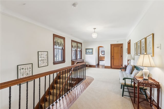 918 W Waldheim Rd, Fox Chapel, PA 15215 - hallway featuring arched walkways, carpet flooring, baseboards, an upstairs landing, and crown molding
