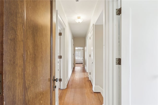 918 W Waldheim Rd, Fox Chapel, PA 15215 - corridor with light wood-style floors and baseboards