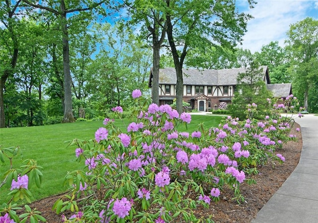 918 W Waldheim Rd, Fox Chapel, PA 15215 - view of green lawn