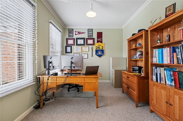 107 Stafford Ct, Ohio Twp, PA 15237 - home office with crown molding, baseboards, and light carpet