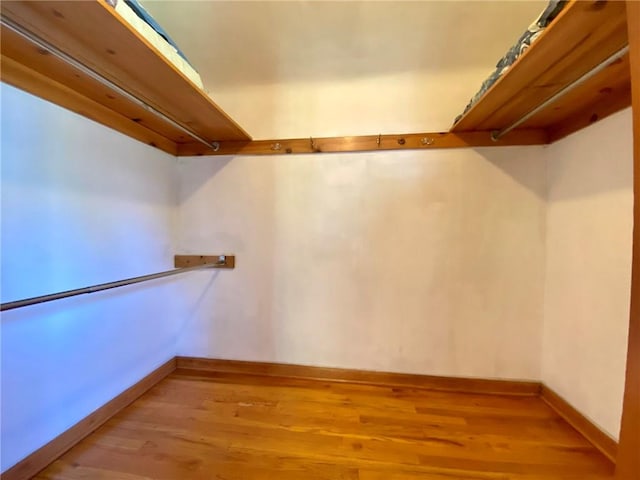 spacious closet with light wood-style flooring