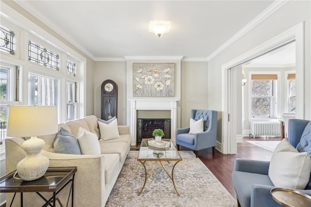 living room featuring dark wood-style flooring, ornamental molding, radiator, and a fireplace