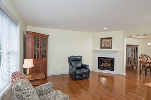 living area with a glass covered fireplace, recessed lighting, baseboards, and wood finished floors