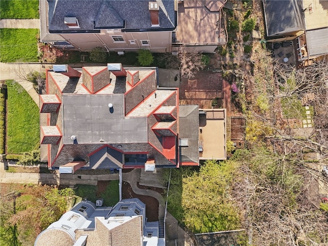 drone / aerial view