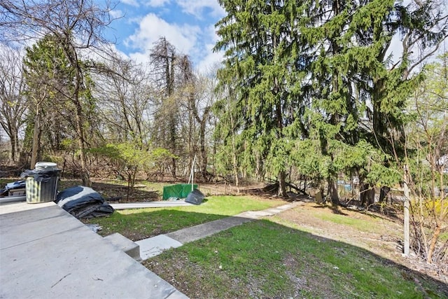 1523 Westmoreland Ave, Lincoln-Larimer, PA 15206 - view of yard