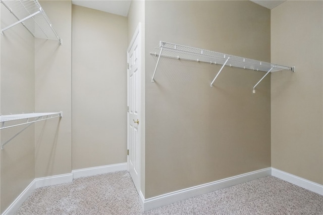 325 Village Green Dr, Peters Twp, PA 15317 - spacious closet with carpet