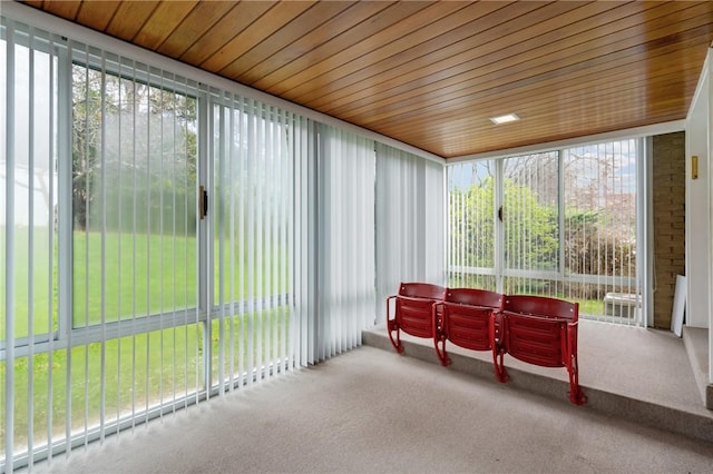 126 Peony Ave, Ross Twp, PA 15229 - sunroom / solarium featuring a healthy amount of sunlight and carpet flooring