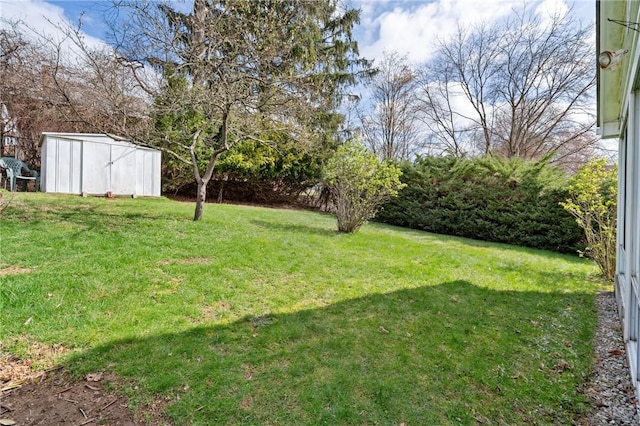 126 Peony Ave, Ross Twp, PA 15229 - view of yard with an outbuilding