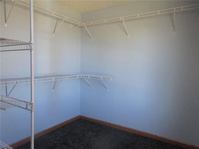 walk in closet featuring carpet