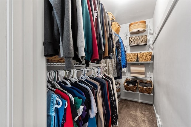 walk in closet with carpet floors