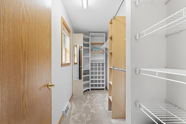 spacious closet with visible vents and carpet floors