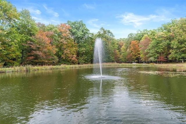 166 Ed Lees Ln, Rockland Township, PA 16374 - water view featuring a forest