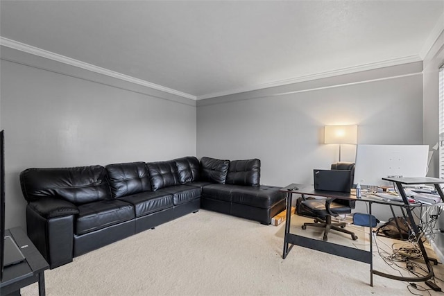 living area with ornamental molding and carpet floors