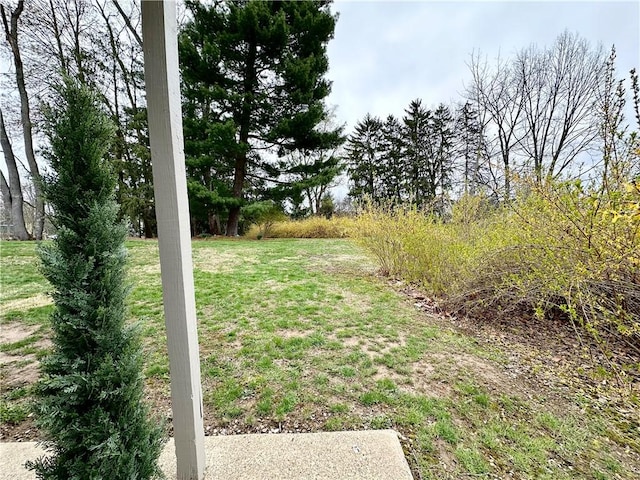 view of yard