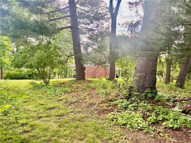216 Friar Ln, Peters Twp, PA 15317 - view of yard