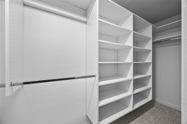 3080 Smallman St, Downtown Pgh, PA 15201 - view of walk in closet