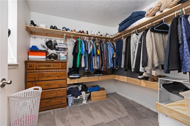 spacious closet with carpet flooring
