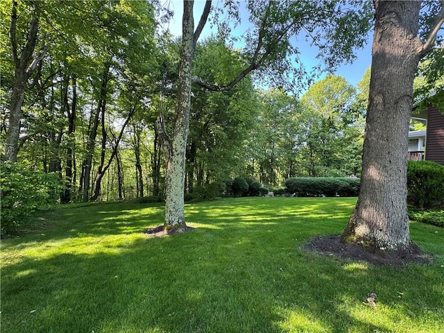 214 Mosshaven Way, Ligonier Twp, PA 15658 - view of grassy yard