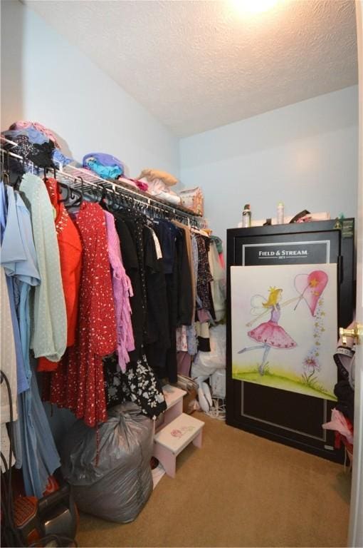 walk in closet featuring carpet flooring