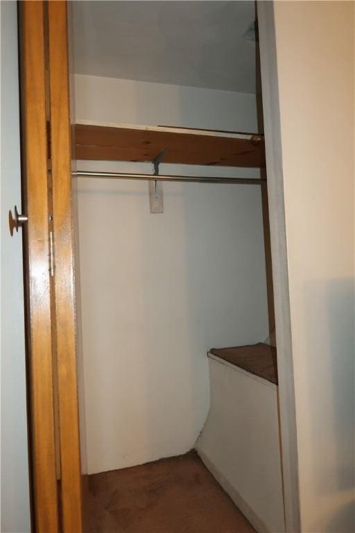 view of closet
