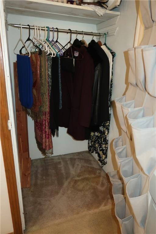 walk in closet featuring carpet