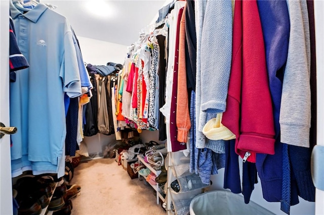 105 Hillcrest Rd, Penn Twp But, PA 16053 - spacious closet featuring carpet floors