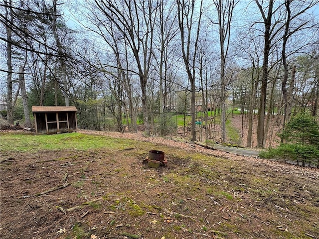view of yard featuring an outbuilding