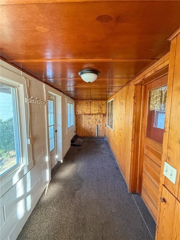 corridor with dark carpet, wooden ceiling, wooden walls, and a wealth of natural light