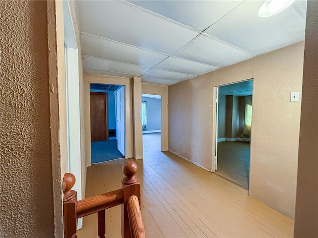 hallway with a drop ceiling, hardwood / wood-style floors, and a textured wall