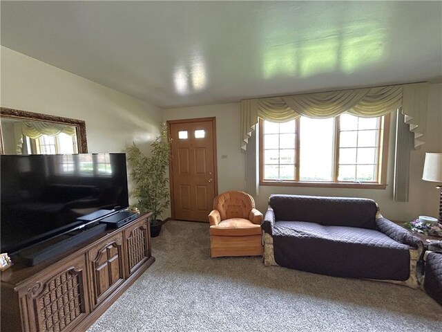612 Chinaberry Rd, Monroeville, PA 15146 - photo 5