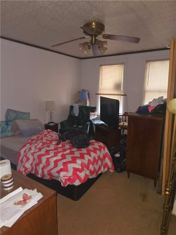226 Glenwood Ave, Hazelwood, PA 15207 - photo 6