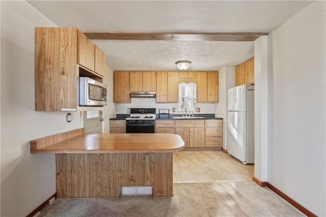 kitchen with gas range, a sink, freestanding refrigerator, under cabinet range hood, and stainless steel microwave