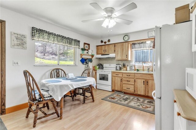 10110 Rinaman Rd, Mccandless, PA 15090 - kitchen with white appliances, under cabinet range hood, light wood finished floors, and plenty of natural light