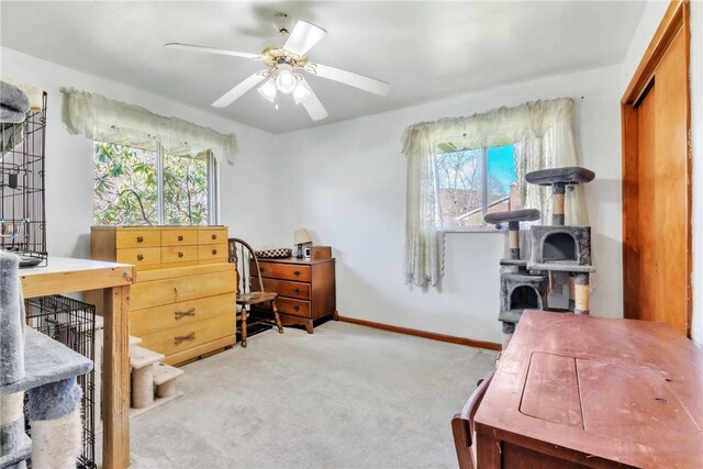 10110 Rinaman Rd, Mccandless, PA 15090 - office with carpet flooring, a wood stove, and ceiling fan