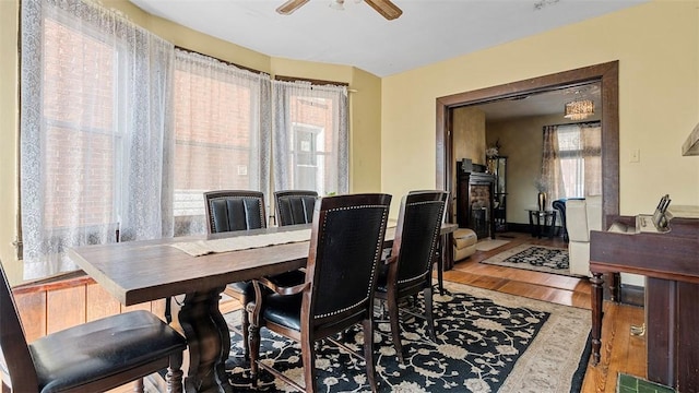 dining room featuring visible vents, ceiling fan, and light wood-type flooring