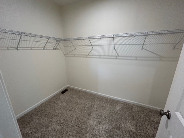 walk in closet featuring carpet