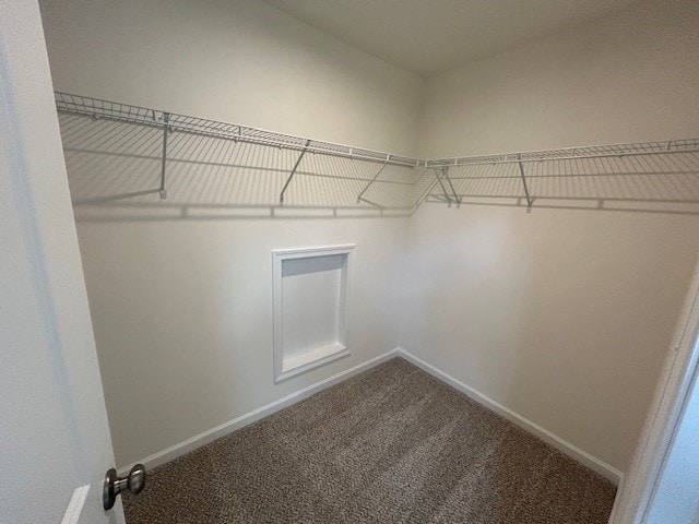 spacious closet featuring carpet floors