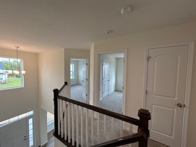 stairway featuring baseboards, carpet, and a notable chandelier