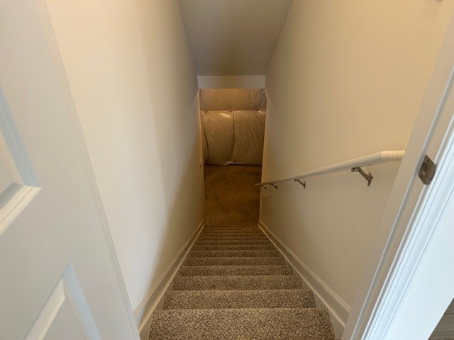 stairs with carpet