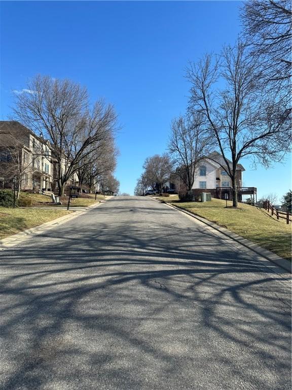 view of street with curbs
