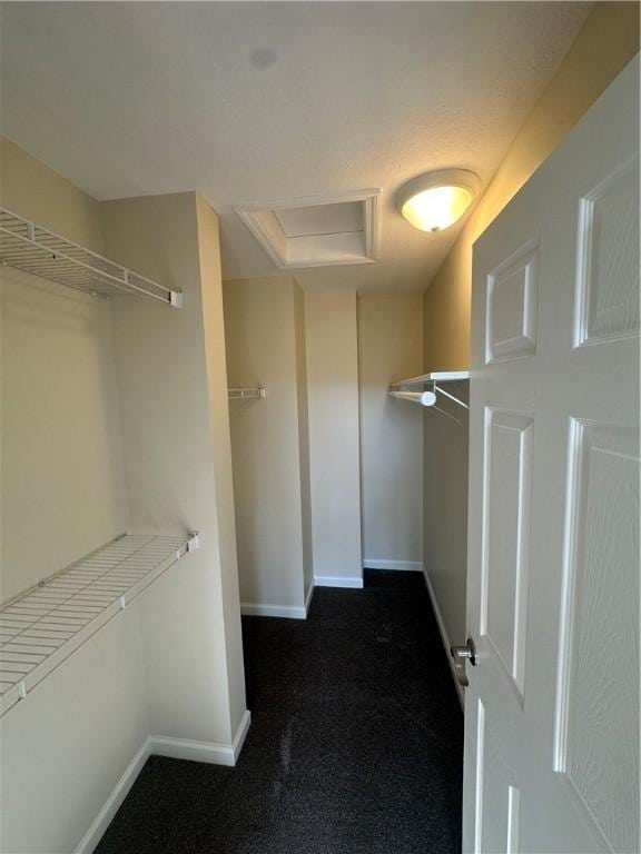 walk in closet with dark carpet and attic access