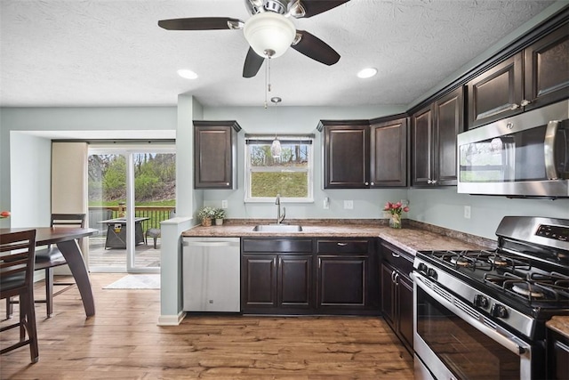 kitchen with a sink, dark brown cabinets, wood finished floors, and stainless steel appliances