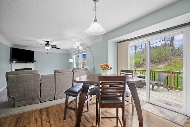 dining room with wood finished floors, ornamental molding, a fireplace, and a ceiling fan
