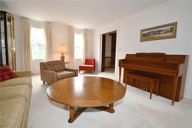living room with carpet floors